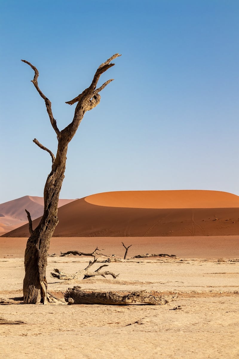 Namib Desert, Namibia